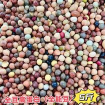 Versatile brace for feed young pigeon grain 8 types of quality legume high protein racing pigeon 5 catty national multi-province