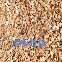 Beijing Tianyou Wanting to remove Teater Pigeon Grain Swap for Dove Grain Letter Racing Pigeon Feed Bird Food 50 catty