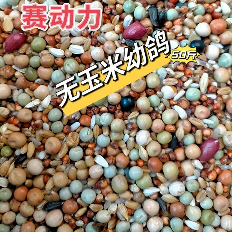 Race Dynamics No Corn Young Pigeon Dove Grain Racing Pigeon Food Racing Pigeon Watching Bird Food Pigeon Feed 50 Kilos