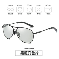 Двухцелевые дни и ночь [обновленная версия изменения цвета] Цветная карта черная рама 2588