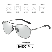 Двухцелевая день и ночи [обновленная версия изменения цвета] раскраска для оружейника 2588