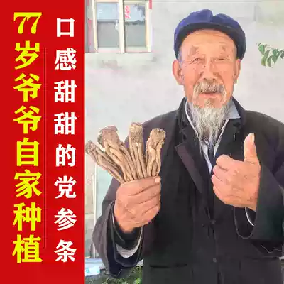 Gansu Minxian sweet Angelica 500g all Angelica whole root non-wild special Chinese medicine Qin Angelica