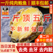 Peninsular abalone meat ready-to-eat freshly-frozen and frozen to shell abalone commercial sea catfish Great Abalone Fresh Seafood seafood