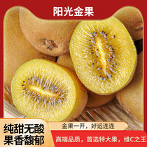 Henan West Gorge Sunshine Golden Golden G3 Gold Fruits Nike Chieca Kiwi Yellow Heart Kiwi Gree Popcorn