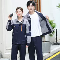 Двухслойные пять сумок спрятаны синие пепели