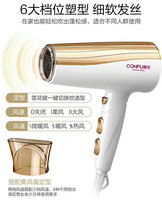 Kang Fu KF3123 hair dryer hair salon home Net red high power negative ion silent constant temperature hair care Blower