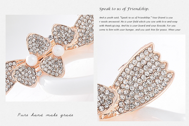 Phụ kiện tóc rhinestone pha lê mùa xuân clip bướm tóc clip người lớn đuôi ngựa clip nữ mũ lớn đầu clip trang sức clip cây trâm cài tóc