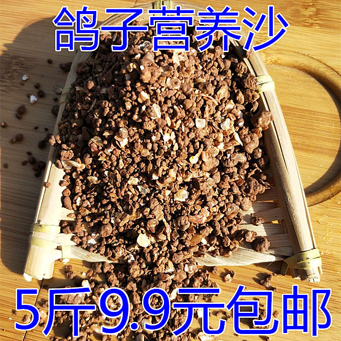 Pigeon Nutrient Sand Sandy Health Sand Parrot Birds With Health Sandy Clay Pigeon Feed Letters Pigeon Racing Pigeon Racing Pigeon