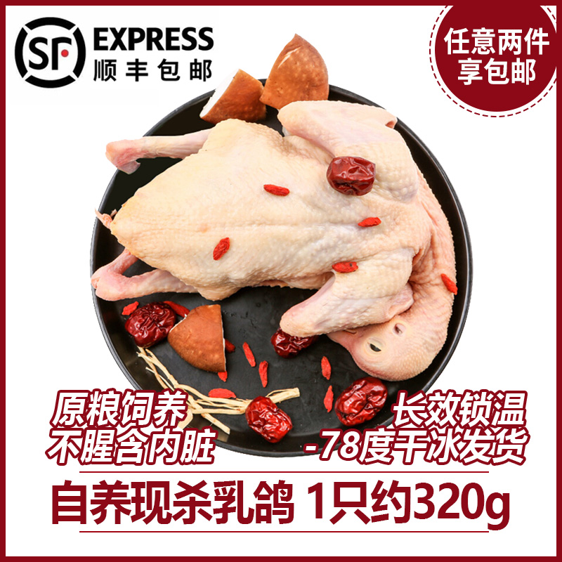 (SF Express) Fresh soil pigeon roasted pigeon Farm free-range soil pigeon live now kill soil pigeon 1 pack