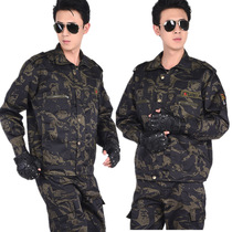 Men and women can wear camouflage training uniforms
