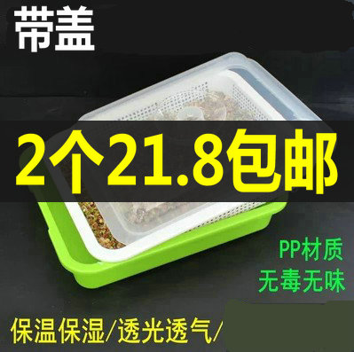 Nursery plate Wheat sprouts Nursery plate box Paper sprouts planting plate Hydroponic vegetable plate with lid