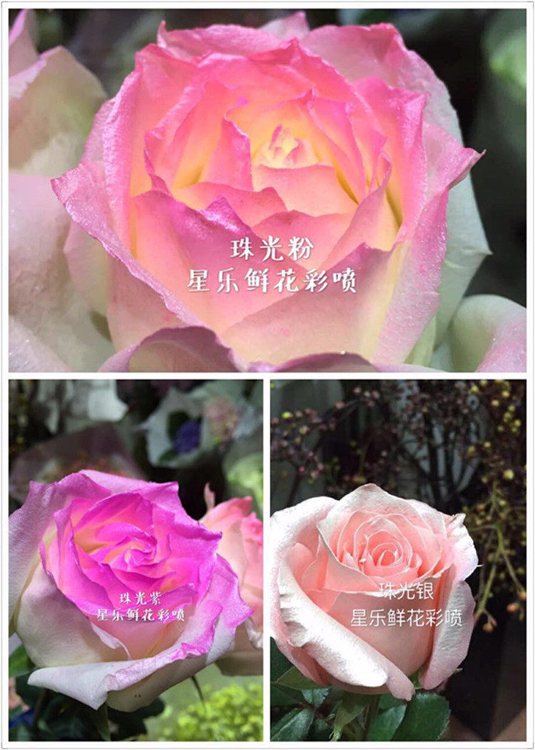 鲜花荧光彩喷宝 满天星彩喷 七彩满天星玫瑰绣球染色上色剂600ml