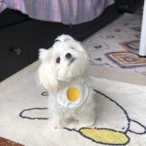 Eat Endless Snail pink Pet Saliva Puppy Cat Cute Bib Marzistedi Bears