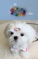 Eat the unfinished snail powder Powder Dot dot Artisanal Pet BB Clip Dresser Malzisme Haircut Yokha Teddy