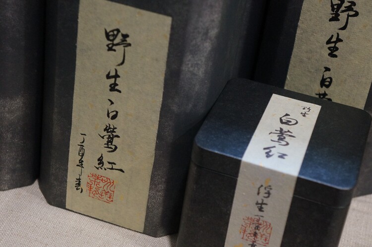 Beauty is both drunk and colorful < white Orioles red > Linang for 800 years of wild ancient tree black tea collection official