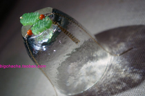 Old dreams and new joys? 18K gold Hetian jade earrings long earrings made from the old objects of the Republic of China