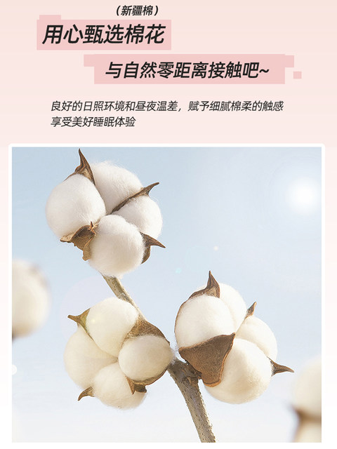 Winter cotton 100 bed sheets single piece pure cotton wash cotton bed sheet 1.5m single dormitory three-piece set 3