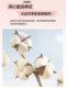 Winter cotton 100 bed sheets single piece pure cotton wash cotton bed sheet 1.5m single dormitory three-piece set 3