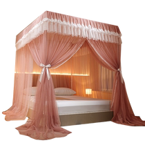 2023 new floor-standing mosquito net for home bedroom princess style bed curtain bracket thickened and thickened palace three-door pattern tent