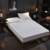 Nam Cực doanh nghiệp giường trượt giường che bụi bìa dày bedspread bông Simmons nệm bảo vệ đơn mảnh bao gồm tất cả - Trang bị Covers ga trải giường chun đẹp	 Trang bị Covers