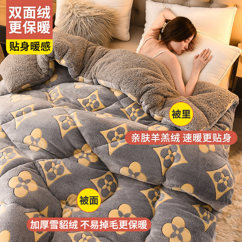 Antarctic Winter Lamb Wool Quilt, Single Thickened Warm Milk Velvet Cotton Quilt, Quilt Core for Dormitory, Spring and Autumn Quilt