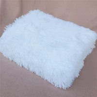 Отбеленный цвет (одеяло)