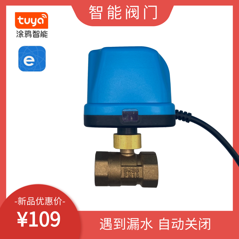 Access MiHome Electric Smart Two-pass Ball Valve Electric Water Valve Switch DN15 Sun Gas Hot Water Smart Switch