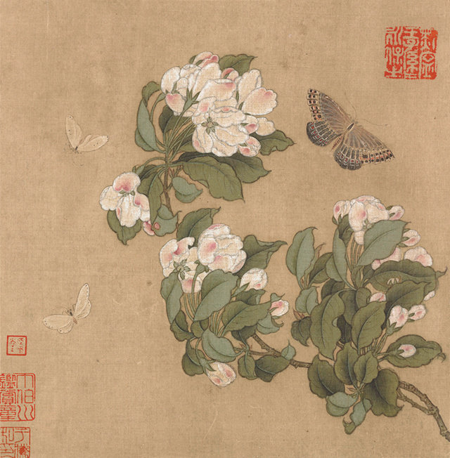 Song Ren Begonia and butterflies on silk copy of the original first class