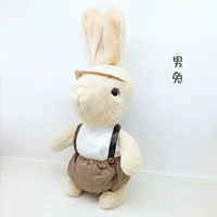 Новый сельский кролик