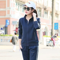 Глубокий синий/серый (самка) -82453