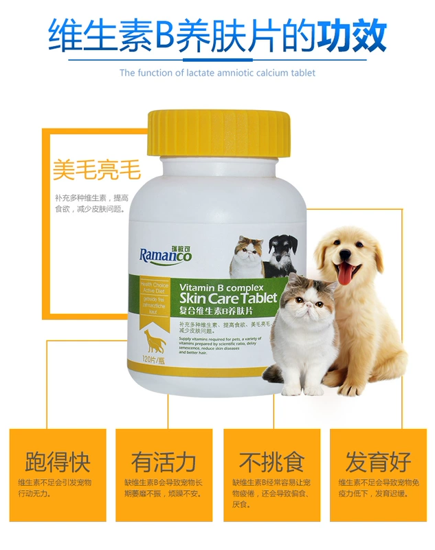 Remi Gao Ruimin có thể là vitamin B làm đẹp lông sáng cho chó chăm sóc mèo bổ sung dinh dưỡng cho thú cưng - Cat / Dog Health bổ sung 	sữa cho chó con uống