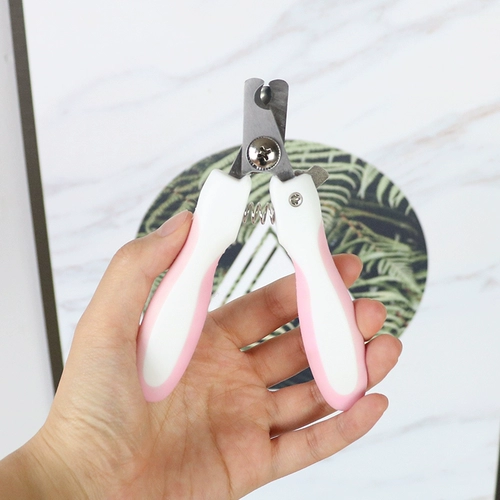 Домашние ногти срезайте кошачьи гвоздь щенка.