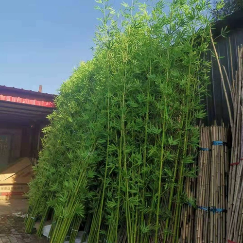 Открытый ландшафтный бамбук фальшивый бамбук 4 метра высотой бамбук
