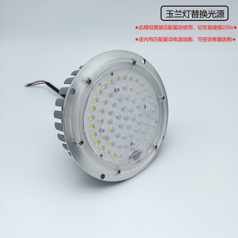 LED玉兰灯模组：庭院夜景升级利器，点亮你的梦幻夜晚🌟-LED模组-淘宝百科网