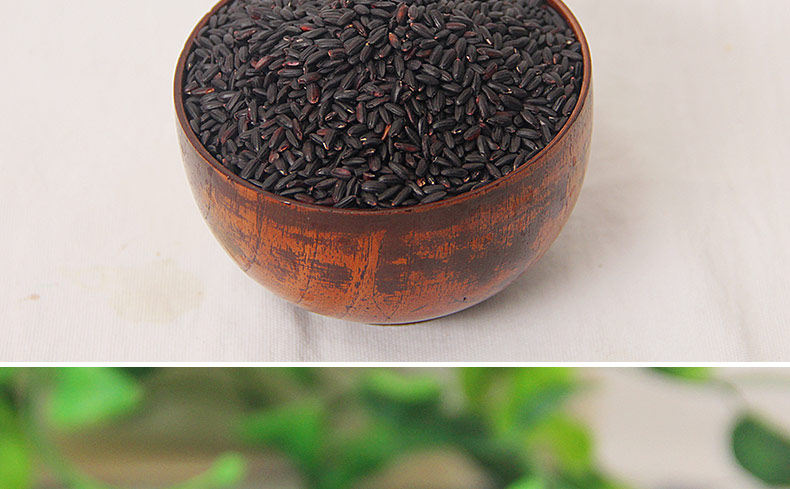 Black Rice_12.jpg