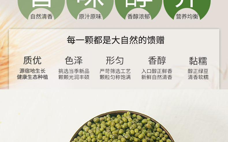 Mung bean_10.jpg.