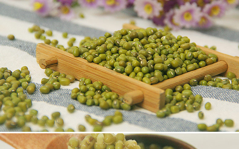 Mung bean_13.jpg.