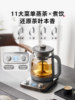Bear Brand Pure Titanium Tea Maker, Large Capacity Health-Preserving Kettle, Spray-Type Tea Steaming and Brewing Kettle, Multifunctional 2025 New Model
