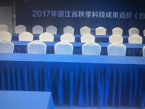VIP chair rental Bar table Hotel chair rental General chair Wedding chair Banquet chair Conference training chair Hotel chair