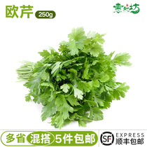 Parsley fresh Italian spice dish fresh vegetable seasoning Western restaurant supplies 250g