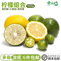 Yellow lemon small green orange green lemon combination 1500g kumquat green fruit tea milk tea shop supplies fresh fruit