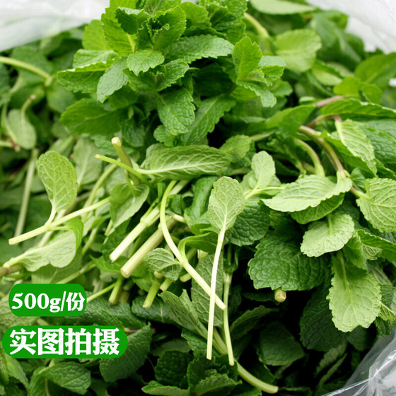 Fresh mint leaves are edible, soaked in water for decoration, baking and bartending. 500g fresh mint leaves are edible.