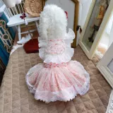 Милый кролик, «сделай сам», кот, делается под заказ, осенний, домашний питомец, стиль Лолита