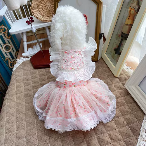 Милый кролик, «сделай сам», кот, делается под заказ, осенний, домашний питомец, стиль Лолита