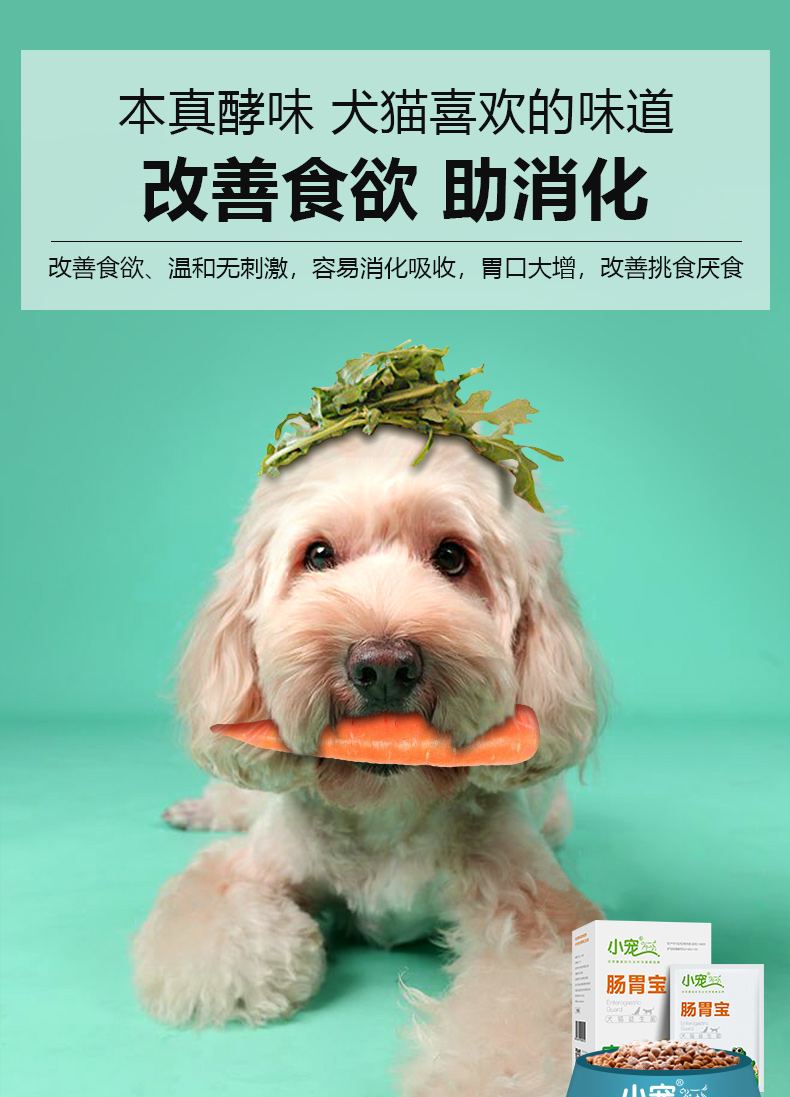 Thú cưng nhỏ dạ dày thú cưng men vi sinh Jin Mao Teddy chó mèo tiêu chảy điều hòa dạ dày chó mèo chăm sóc sức khỏe - Cat / Dog Health bổ sung sữa bột cho mèo