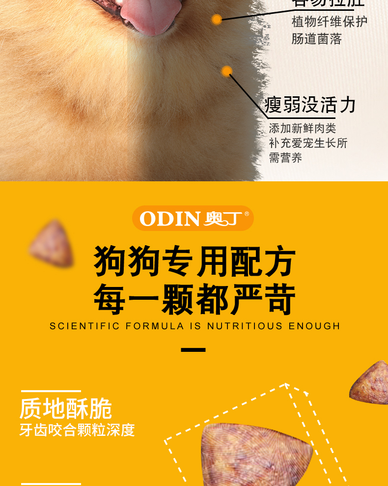 Thức ăn cho chó Odin chung loại 10 kg Teddy Lông vàng Bomei VIP bên chăn nuôi chó nhỏ chó con chó lớn chó lớn 5kg - Chó Staples thức ăn chó smartheart