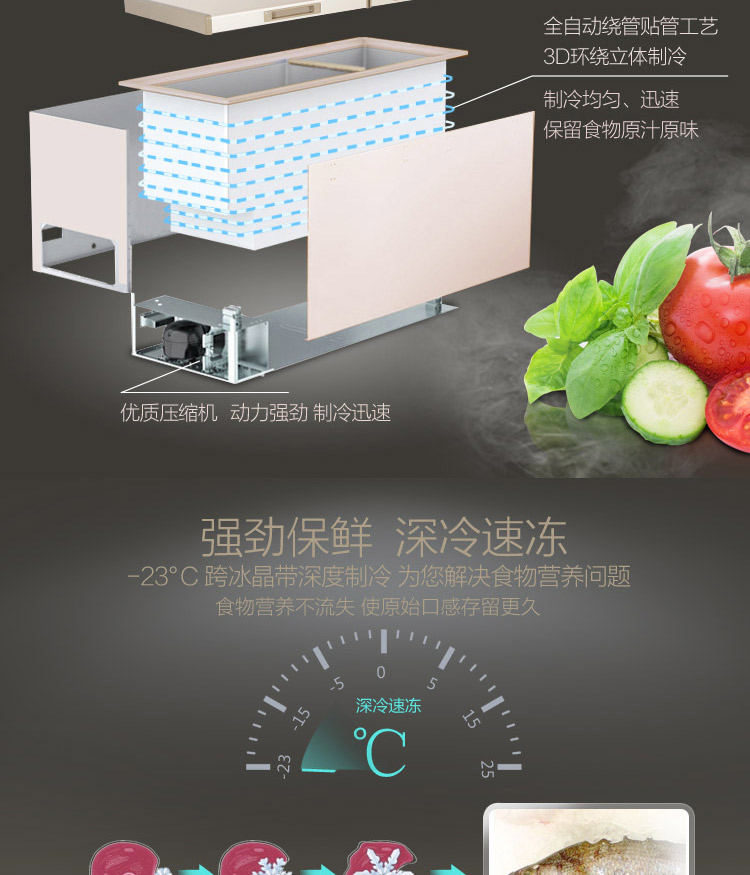 TCL HCD-196HQD 绚丽 金 冷冷 冷暖 Tủ lạnh lót inox - Tủ đông giá tủ đông sanaky