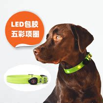 Colorful luminous dog collar LED waterproof and anti-loss medium dog dog ring rechargeable walking dog leash New