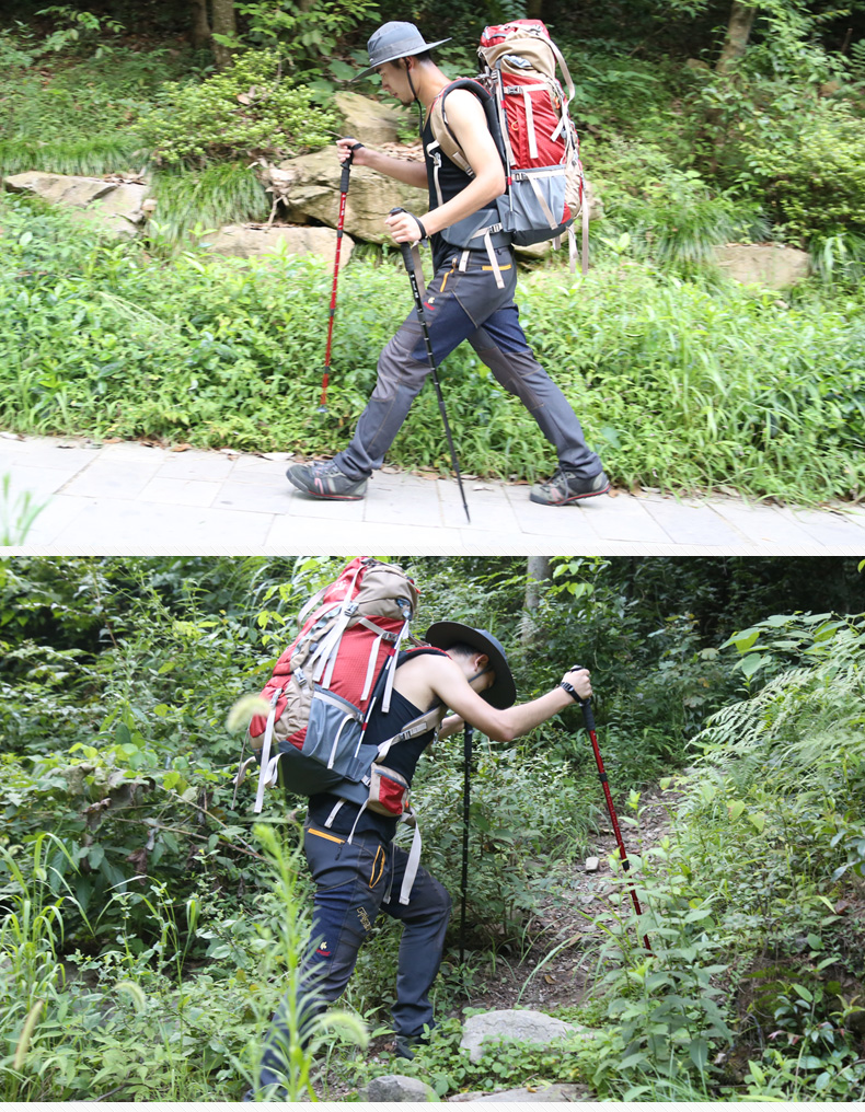 Nam sói trekking cực tuyết ngoài trời mía bốn phần leo núi kính thiên văn gậy gậy ngoài trời cung cấp ánh sáng trekking cực - Gậy / gậy 	cây chống gậy cho người già	