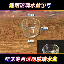 Climbing spiders basin acrylic reptile box scorpion guru lizard landscape transparent glass